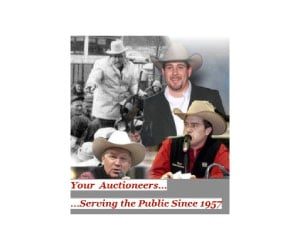 your-auctioneers-300x250